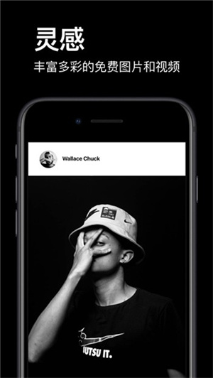 pexels下载中文版