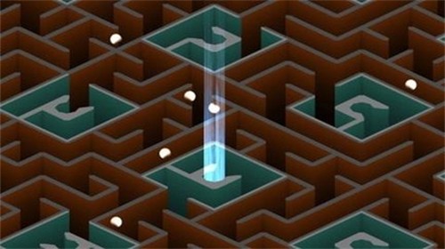 我是迷宫3黄豆计划