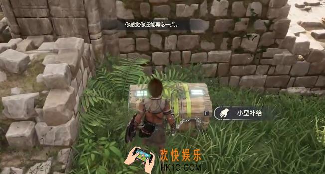 荒野起源宝箱有哪些 荒野起源手游宝箱类型介绍