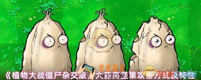 植物大战僵尸杂交版大蒜高坚果怎么攻击