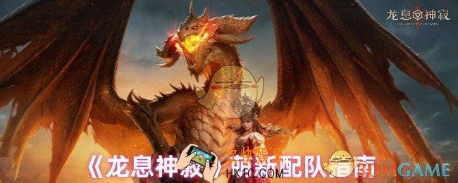 龙息神寂新手怎么配队