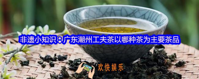 广东潮州工夫茶以哪种茶为主要茶品