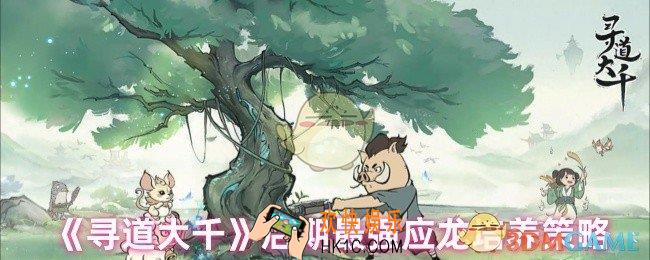 寻道大千后期应龙怎么培养
