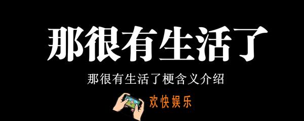 那很有生活了梗什么意思