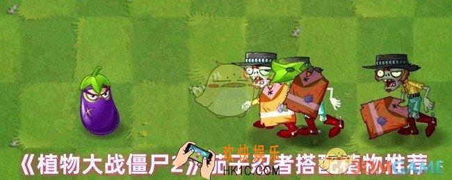 植物大战僵尸2茄子忍者搭配什么植物好