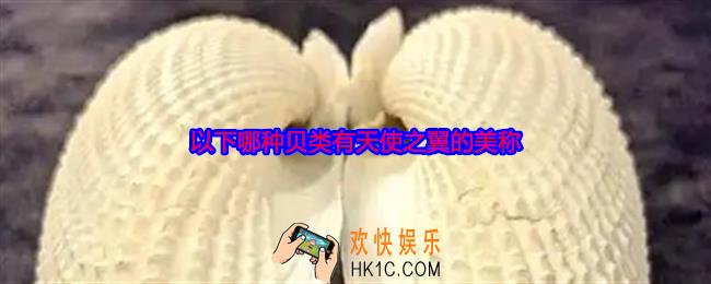 以下哪种贝类有天使之翼的美称
