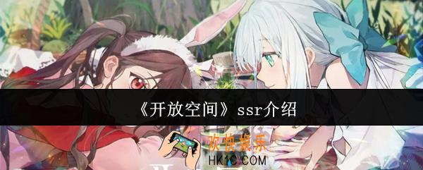 开放空间ssr怎么样