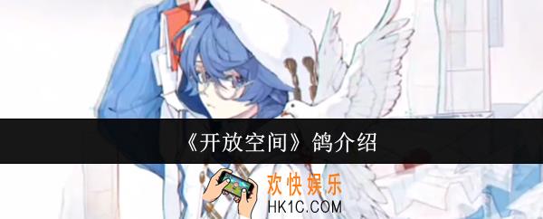 开放空间鸽怎么样