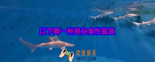 以下哪一种是杂食性鲨鱼