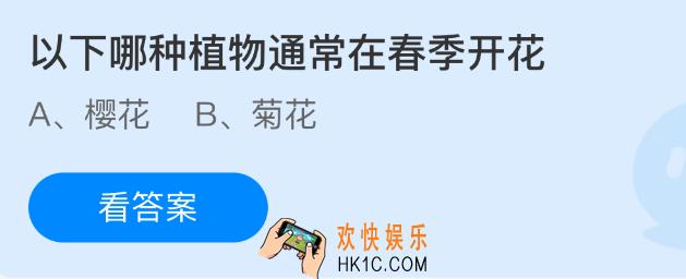 以下哪种植物通常在春季开花
