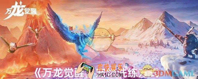 万龙觉醒宠物怎么洗练