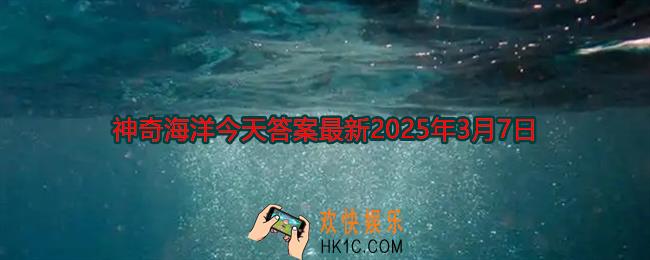以下哪种海洋环境中的食物链被称为黑色食物链