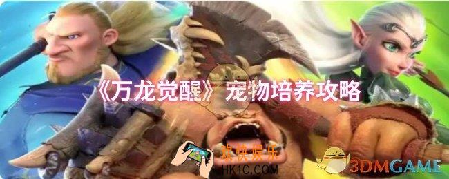 万龙觉醒宠物怎么培养