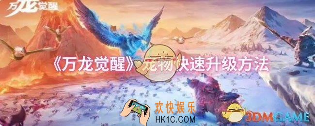 万龙觉醒宠物如何快速升级