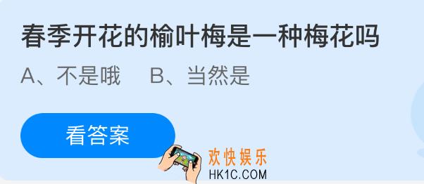 春季开花的榆叶梅是一种梅花吗