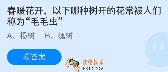 以下哪种树开的花常被人们称为毛毛虫