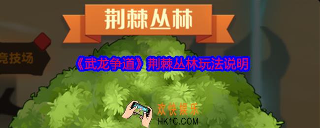 武龙争道荆棘丛林玩法说明