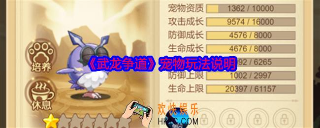 武龙争道宠物玩法说明
