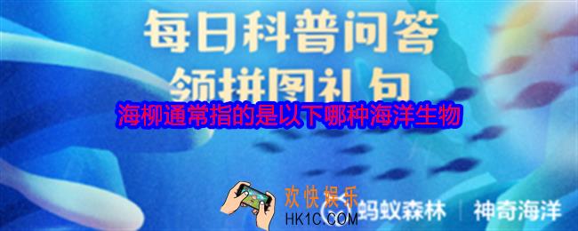 海柳通常指的是以下哪种海洋生物