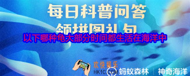 以下哪种龟大部分时间都生活在海洋中
