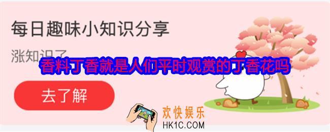 香料丁香就是人们平时观赏的丁香花吗