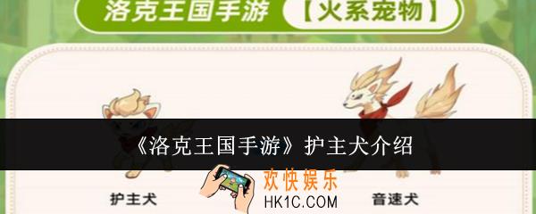 洛克王国手游护主犬怎么样