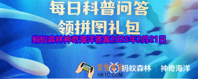 猜一猜海豚的声呐系统位于哪里