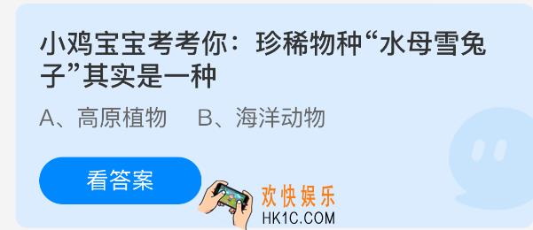 珍稀物种水母雪兔子其实是一种