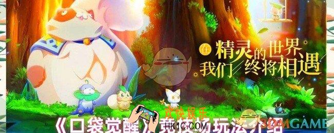口袋觉醒竞技场怎么玩