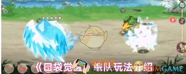 口袋觉醒怎么编队