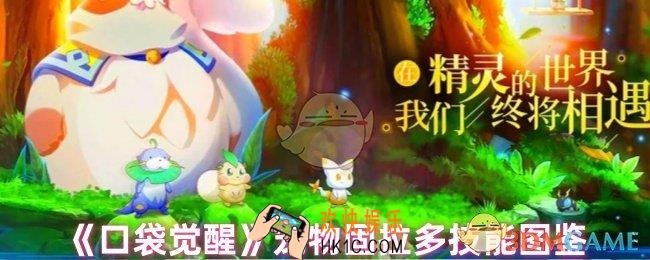 口袋觉醒固拉多技能怎么样
