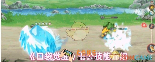 口袋觉醒雷公技能是什么