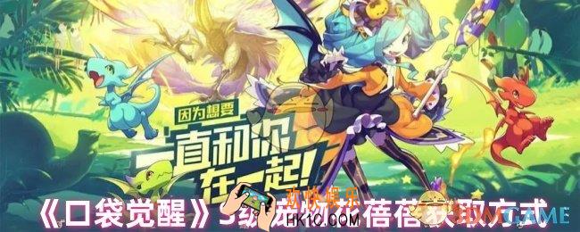 口袋觉醒花蓓蓓怎么获得