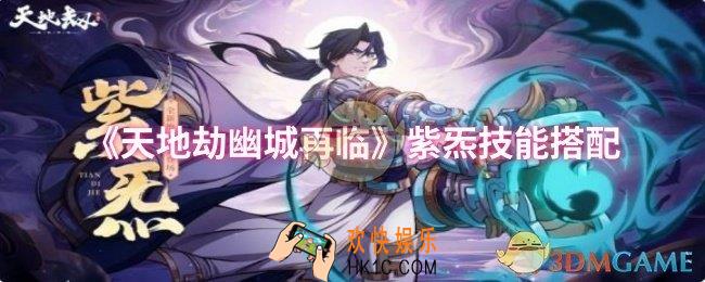 天地劫幽城再临紫炁技能怎么搭配