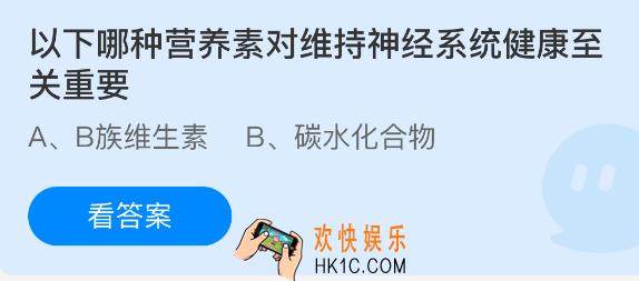 以下哪种营养素对维持神经系统健康至关重要
