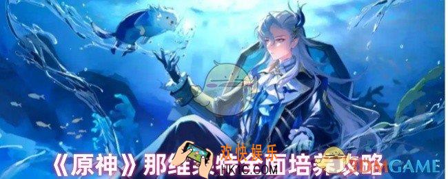 原神那维莱特怎么样