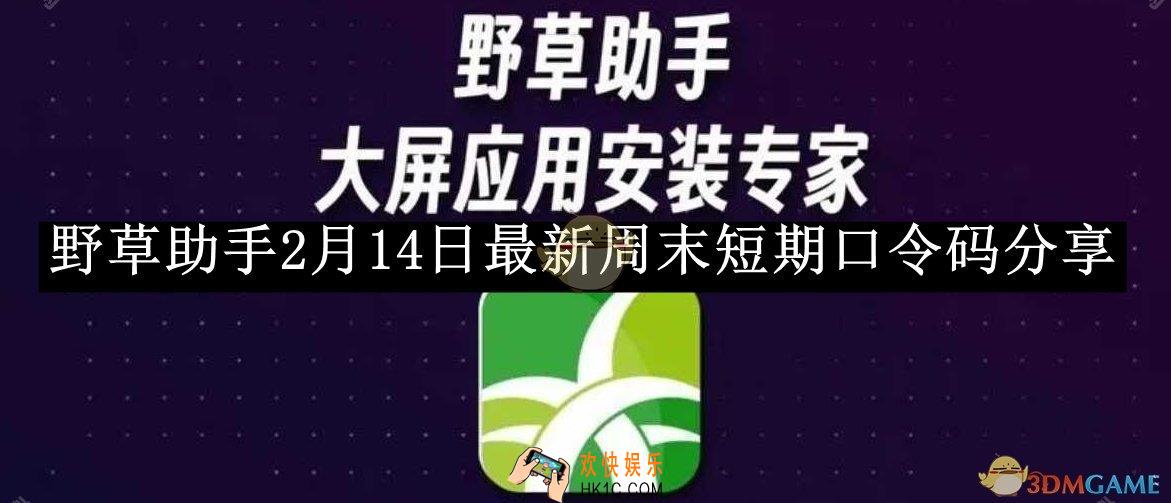 野草助手2月14日最新周末短期口令码分享