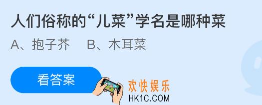 人们俗称的儿菜学名是哪种菜