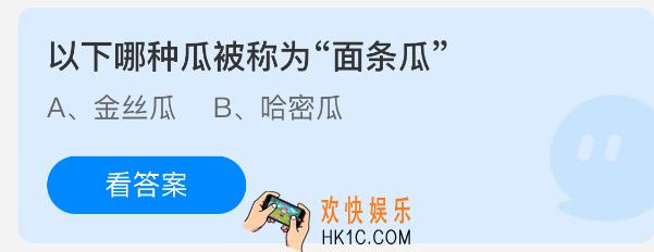以下哪种瓜被称为面条瓜