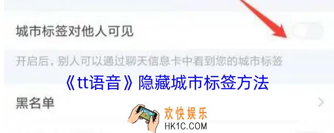 tt语音怎么隐藏城市标签