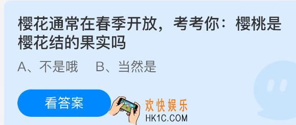 樱花通常在春季开放，考考你樱桃是樱花结的果实吗
