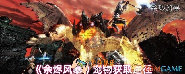 余烬风暴怎么抓宠物