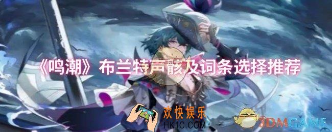 鸣潮布兰特声骸及词条怎么选择