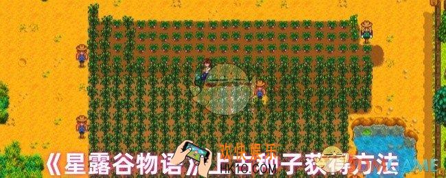 星露谷物语上古种子怎么获得