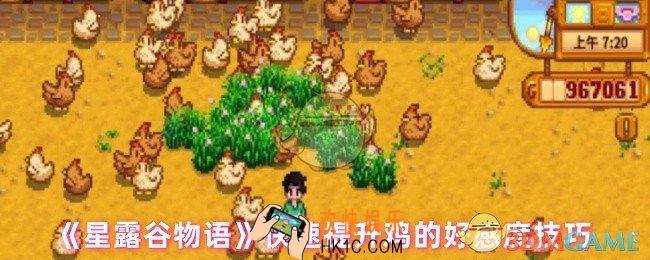 星露谷物语怎么快速提升鸡的好感度