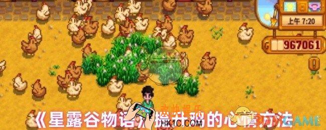 星露谷物语怎么提升鸡的心情