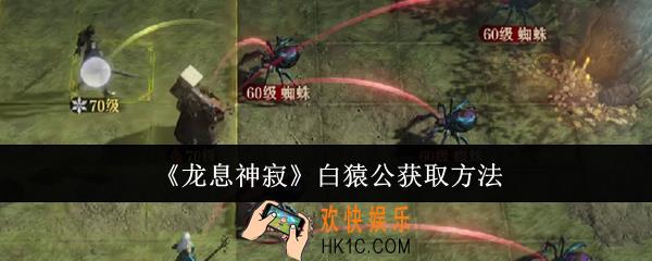 龙息神寂白猿公怎么获取