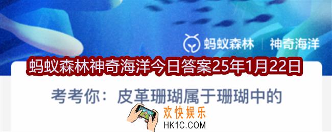 皮革珊瑚属于珊瑚中的