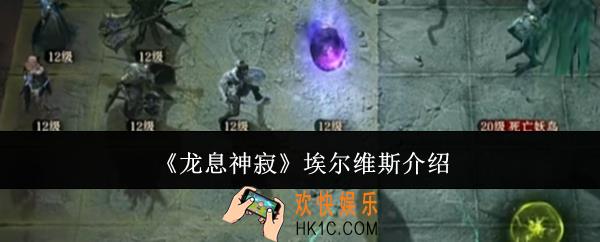 龙息神寂埃尔维斯怎么样