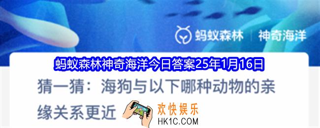 猜一猜海狗与以下哪种动物的亲缘关系更近